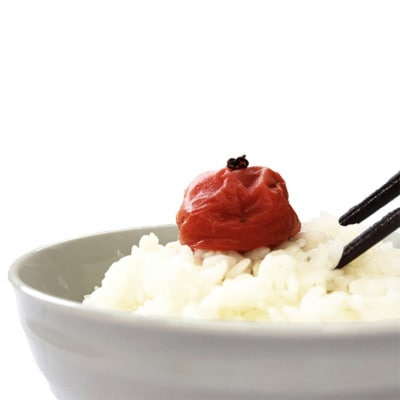 ご家庭用紀州南高梅かつお梅450g【umy022-1】