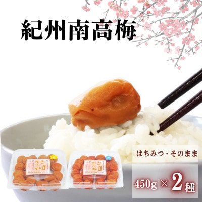 ご家庭用紀州南高梅2種セット 450g×2種《はちみつ&梅そのまま》 【umy024-3-1】