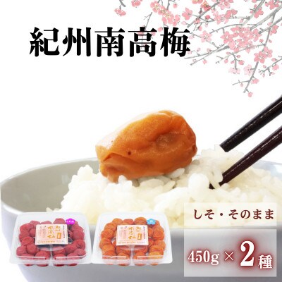 ご家庭用紀州南高梅 2種セット450g《しそ&梅そのまま》【umy024-5-1】