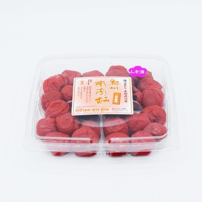 ご家庭用紀州南高梅 2種セット450g《しそ&梅そのまま》【umy024-5-1】
