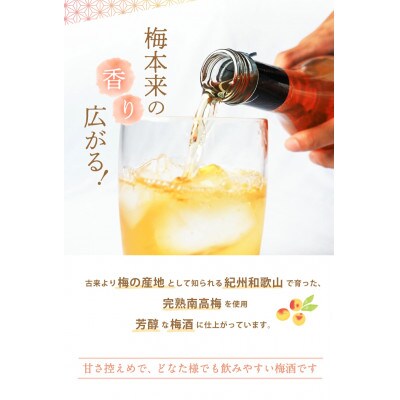 梅酒 紀州梅酒 720ml×6本入(化粧箱入り) 【umy012】