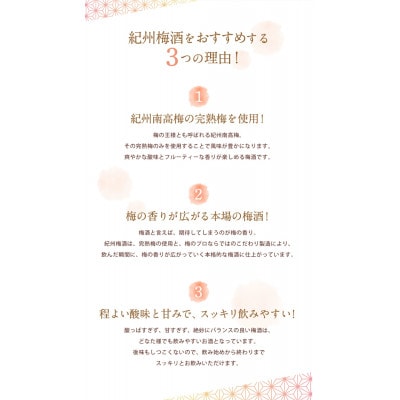 梅酒 紀州梅酒 720ml×6本入(化粧箱入り) 【umy012】