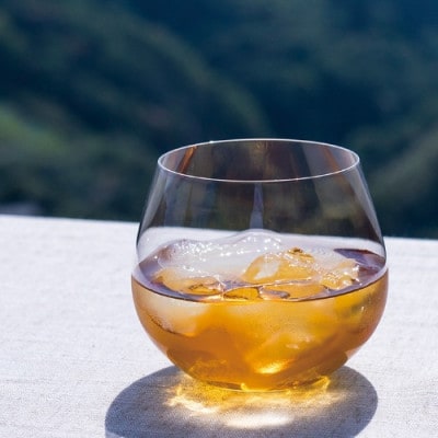 本格梅酒 「HAMADA」白ラベル スタンダード 720ml 13度【isg020-1】