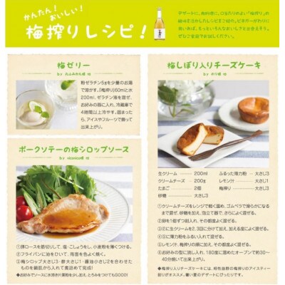 梅搾り(ノンアルコール)490ml 【プレミア和歌山認定品】 【isg027-1】