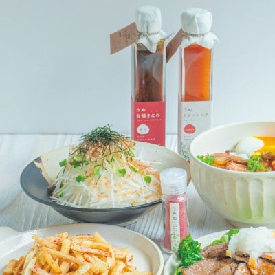 うめ旨焼きたれ・うめドレッシング・うめ塩セット【isg028-2】
