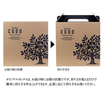 Orchard CODO 3本ギフトセット 紀州レモンのビターレスカ【isg025-4-2】