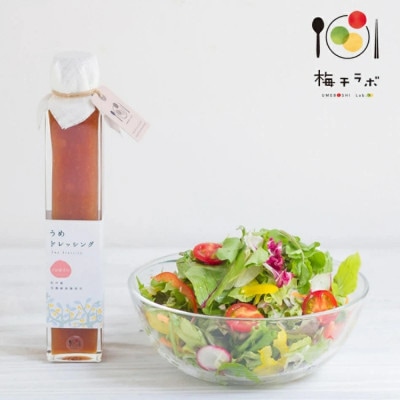 新うめ三昧セット(梅干、ドレッシング、うめ旨やきたれ、うめ塩、パスタソース)【isg032-1】