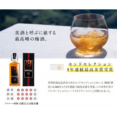 最高峰の梅酒 【五年熟成】梅酒濱田 HAMADA 750ml 13度 金箔入り 【isg019-1】
