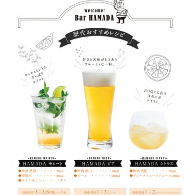 最高峰の梅酒 【五年熟成】梅酒濱田 HAMADA 750ml 13度 金箔入り 【isg019-1】