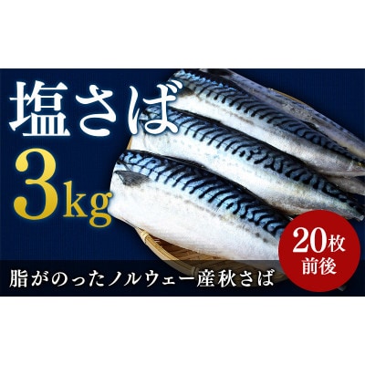 塩さば 切り身 3kg(約20枚前後)【mts007-4】