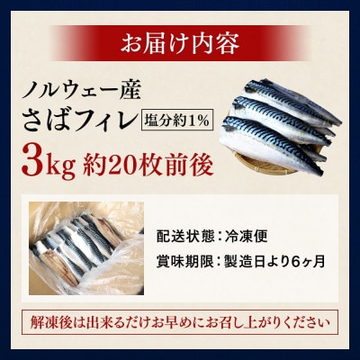 塩さば 切り身 3kg(約20枚前後)【mts007-4】