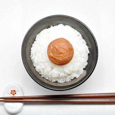 岡畑の白干梅 500g (塩分20-23%)【okh013】