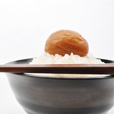 岡畑の白干梅 500g (塩分20-23%)【okh013】