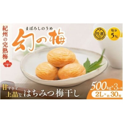 【毎月定期便】幻の梅 500g 【はちみつ梅干/塩分5%】【okh028-tk】全3回