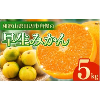 早生みかん 5kg 12月より順次発送【tcs024】