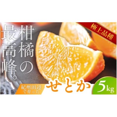 露地栽培のせとか 5kg/柑橘の大トロ【tcs009-1】