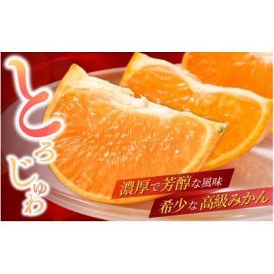 露地栽培のせとか 5kg/柑橘の大トロ【tcs009-1】