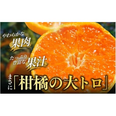 露地栽培のせとか 5kg/柑橘の大トロ【tcs009-1】