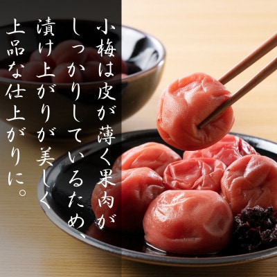 青梅【小梅】 3kg(2026年5月頃から順次発送予定)/ 生梅【tcs019】