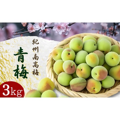青梅【紀州南高梅】 3kg 5月より順次発送予定 / 生梅【tcs021】