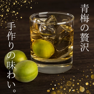 青梅【紀州南高梅】 3kg 5月より順次発送予定 / 生梅【tcs021】
