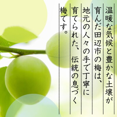 【先行予約】 青梅【古城梅】 3kg(2026年5月より順次発送予定)/ 生梅【tcs020】