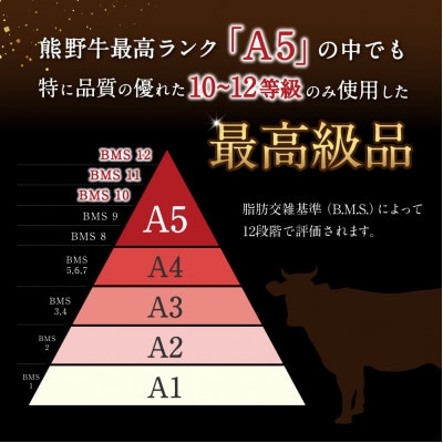 特選　和歌山県産熊野牛ヒレステーキ　150g×1枚 【sks001】