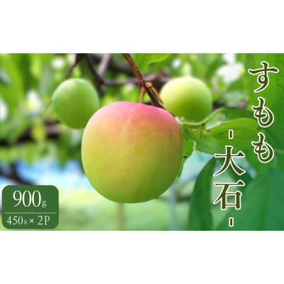 先行予約 すもも(大石)900g(450g×2)※5月下旬～順次発送予定【mtm010-2】