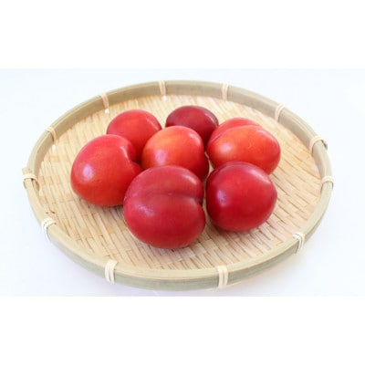 先行予約 すもも(大石)900g(450g×2)※5月下旬～順次発送予定【mtm010-2】