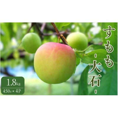 先行予約 すもも(大石)1.8kg(450g×4P) ※5月下旬～順次発送予定【mtm006-2】