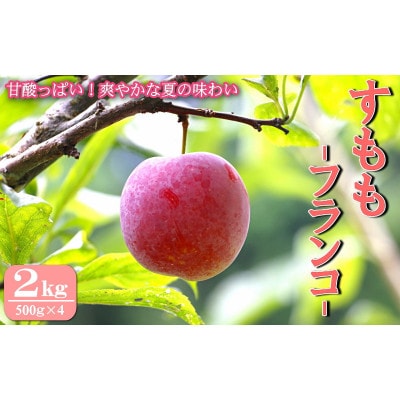 先行予約 すもも(フランコ)2kg ※6月中旬～順次発送予定 /果物 田辺市【mtm003-1】