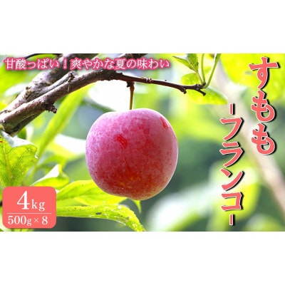 先行予約 すもも(フランコ)4kg ※6月中旬～順次発送予定 / 果物 田辺市【mtm011】