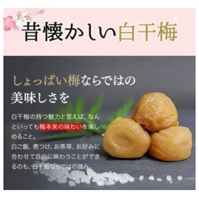 そのまんま白干梅 A級品 計750g(250g×3個)【kfo015-1】