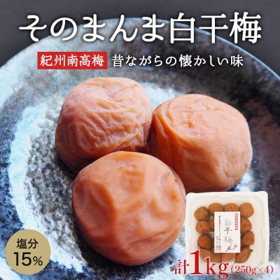 そのまんま白干梅 A級品 計1kg(250g×4個)【kfo007-1】