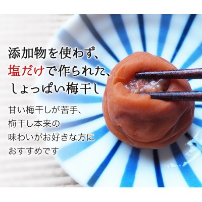 そのまんま白干梅 A級品 計1kg(250g×4個)【kfo007-1】