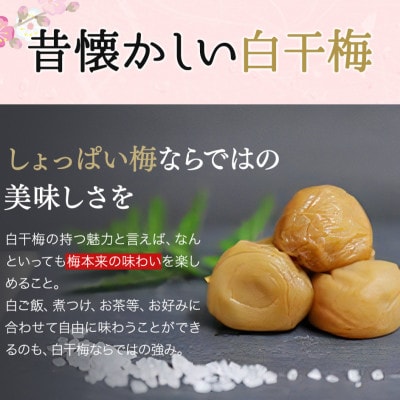 そのまんま白干梅 A級品 計1kg(250g×4個)【kfo007-1】