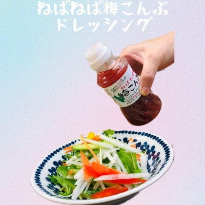 ねばねば梅こんぶドレッシング 250ml×2本【kfo010】