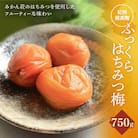 ふっくらはちみつ梅 計750g(約250g×3個)【kfo011-1】