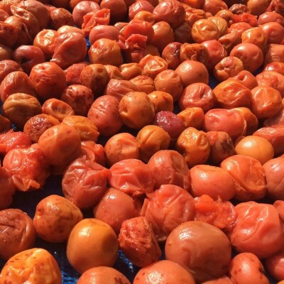 昔ながらのすっぱい梅干 1kg (200g×5) 塩分15%【mpt005】