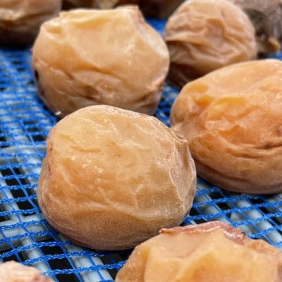 昔ながらのすっぱい梅干 350g (35g×10) 塩分15%【mpt004】