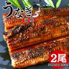 うなぎ蒲焼き2本セット 【kpy001-1】