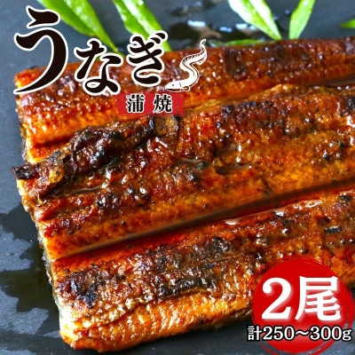 うなぎ蒲焼き2本セット 【kpy001-1】