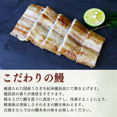 うなぎ白焼き2本セット【kpy002-1】