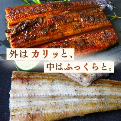 大きめ!うなぎ蒲焼き うなぎ白焼き 各1本セット【kpy006-1】