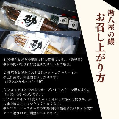 大きめ!うなぎ蒲焼き うなぎ白焼き 各1本セット【kpy006-1】