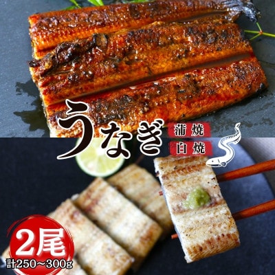 うなぎ蒲焼き うなぎ白焼き 各1本セット【kpy003-1】
