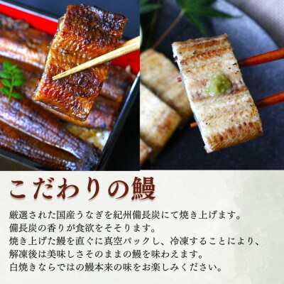 うなぎ蒲焼き うなぎ白焼き 各1本セット【kpy003-1】