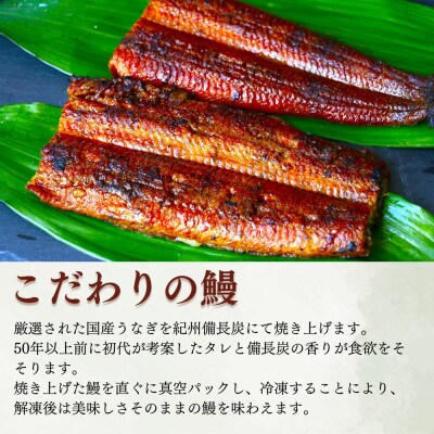 大きめ!うなぎ蒲焼き 2本セット【kpy004-1】
