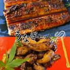 うなぎ蒲焼き1本と肝たれ焼きのセット【kpy010】
