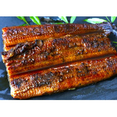 大きめ!うなぎ蒲焼き1本と肝たれ焼きのセット【kpy012】